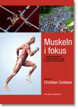 Muskeln i fokus