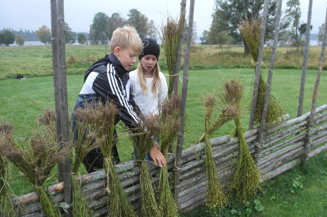 Samarbete vid gärdesgården.